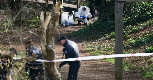 Exeter murder trial date for alleged park killer set