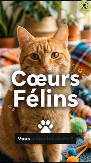 Why are cat lovers so unique? #cat
