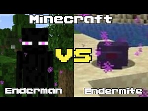 Enderman vs Endermite: The Ultimate Minecraft Showdown