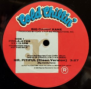 Big Daddy Kane - Mr. Pitiful
