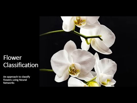 Oxford 102 Flowers Classification using a Neural Network Classifier
