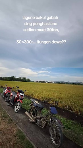 budal tumbas inova reborn🌾🌾#fypシ゚viral #bledukbanget #gabahbalap🌾