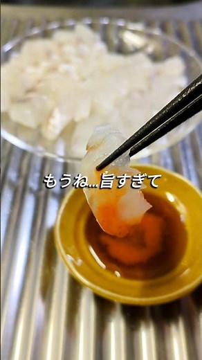 【コ"コチ"いい食感】#short #マゴチ #刺身 #簡単レシピ #昆布茶 #酒の肴