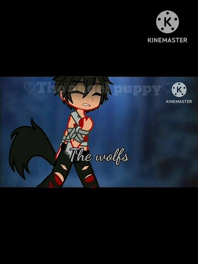 🐺Wolves🐺 || Gacha Plus Meme || Aphmau Mystreet 4 & 5 || ♡The angel puppy♡