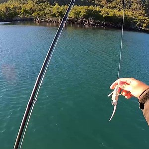 Mat switches it up with the FrillSeeker in saltwater! The FrillSeeker is unique, ultra-lifelike, durable, and a great addition to any fisherman’s tackle box. Work it slow on the surface, twitch it or add some pace to dive sub-surface and get closer to the fish or tempt those more timid fish. Follow @Bowlys_Fishing on YouTube for more videos! | Chasebaits Australia