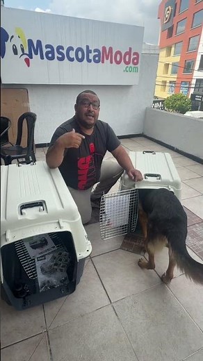 You must measure your dog's kennel or travel crate correctly. MascotaModa Ecuador