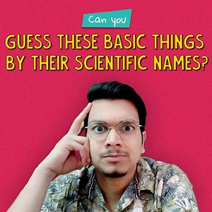 257K views · 5.1K reactions | Shakespeare once said, ”What’s in the name?” but the OK Tested anchors are going to test their knowledge about the scientific nomenclature of these basic things if they have to win this quiz. Let’s find out who will be named ‘The Champion’ among them? For more exclusive content, download the Ok Tested app: play.google.com/store/apps/details?id=com.oktested Follow Us On Instagram: https://www.instagram.com/scoopwhoopo... | Ok Tested | Facebook