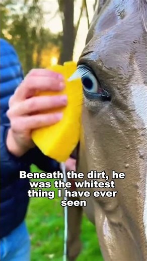 I Washed The Mud Off And Found A Spirit👻