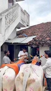 Building Wooden Log Cabin in Forest 🌲🔥 | Survival House Step by Step"🎉