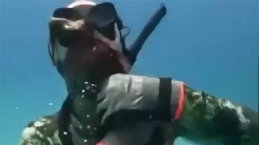 Vor Küste Russlands: Oktopus wickelt Tentakel um Hals von Taucher
