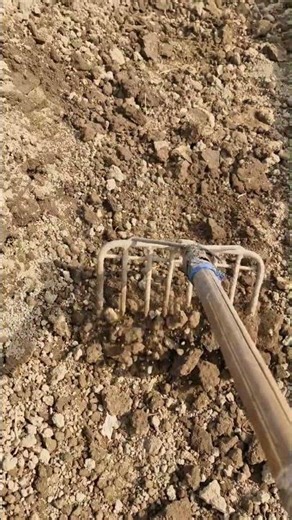 Tricks and tips for installing plastic mulch -Agriculture farming #shorts