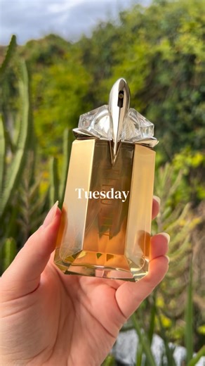 Finnolya 🤍✨ on Instagram: "A week of perfumes: every day a different perfume ❤️ - Narciso Rodriguez Pure musc @narciso_rodriguez - Mugler Alien Goddess @muglerofficial - Chloe Nomade @chloe - Viktor&Rolf Flowerbomb @viktorandrolf_fragrances - Carolina Herrera good girl blush @carolinaherrera - Narciso Rodriguez Pure musc rose - Versace Crystal noir @versace #perfume #fragrance #scentoftheday #perfumesforwomen #perfumecollection"