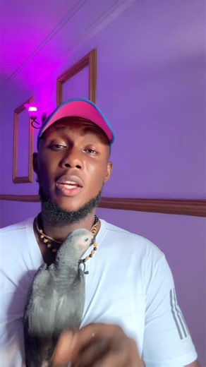 Understanding Educational Content and Its Impact