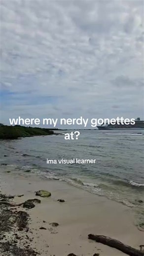 Understanding Visual Learning Styles for Better Education