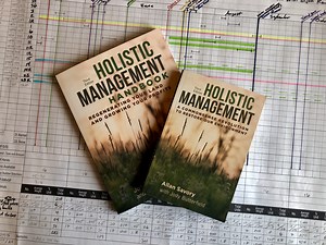 Holistic Management ⋆ Savory Institute