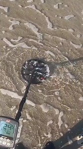 Amazing find at Beach #metaldetecting #goldhunting #treasurehunt #treasurehunting #treasure #gold #metaldetecting #foryou | Underwater Exploration