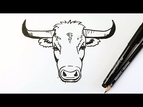How to draw a bull's head