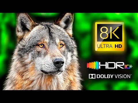STUNNING COLORS 💥 Fantastic HDR 8K 120FPS Dolby Vision - 4K Video #8K