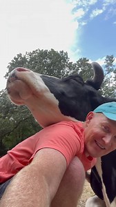 It is impossible to convey just how emotional and social cows are without experiencing it first hand. I had read about and seen studies that made clear that cows were just like dogs in terms of the way they connect with others. But nothing could have prepared me to understand how true this really is before my journey as Jenna’s best friend began. The hugging and compete serenity Jenna is experiencing here is something she seems to not only want but need each day. Her happiness, mood, and behavio