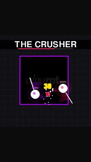 Who Wins? AlgoRot #11