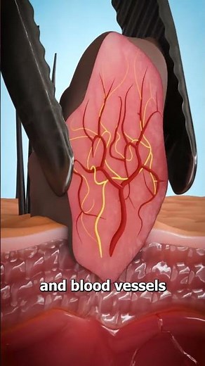 What Is A Skin Tag? 😨