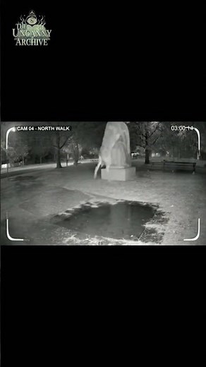 Ghost Throws Dog Against Statue! 😳 #paranormal #shorts