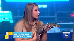 Bindi Irwin brings her kookaburra and dwarf crocodile to Times Square