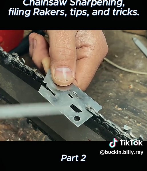 Chainsaw Sharpening Tips: Filing Rakers Explained