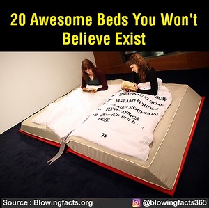6.9K views · 305 reactions | 20 awesome Beds you won't believe exist | Facts that will blow your mind | Facebook