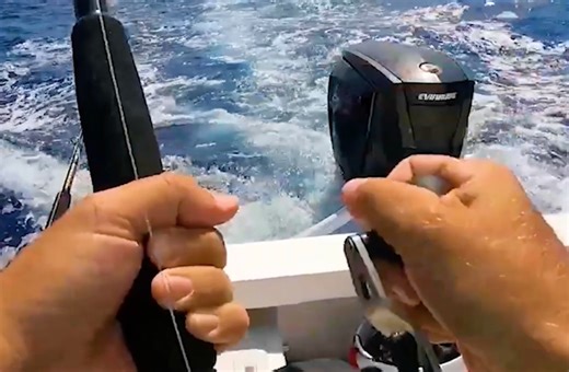 8.5K views · 131 reactions | INSANE Mahi Fishing at Islamorada Humps | South Florida Fishing Channel | Facebook