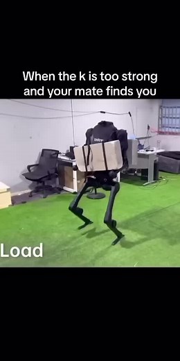 Humanoid Robot Interaction in Office Setting