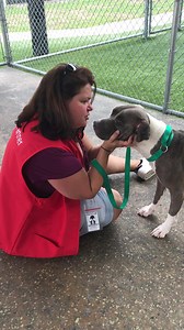 24K views · 5 comments | We have fallen head over heels for this...