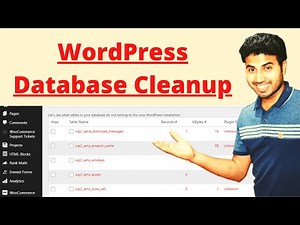 WordPress Database Cleanup - Chaliye Kachra Clear Karte Hai - Ok Ravi