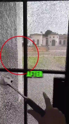 Dark Talks (@darktalks2)’s video of walking into glass door