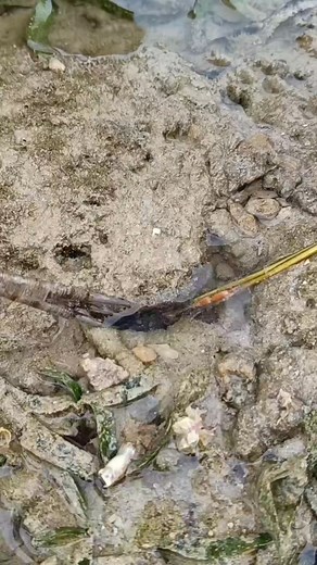 548K views · 1.6K reactions | Kung maoy permihon daghan pugita na ma disable #highlights2025 #postviralシ2025 #reelschallengereelschallenge #highlightseveryone #everyoneシ゚ #followersreelsfypシ゚viralシfypシ゚viralシal #viralreelschallenge2025viralreelschallengejaiviralreelschallengeviralreelschallenge #reelsvideoシ | Tubod Sa Naughang Sapa | Facebook