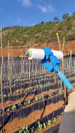 During the process of stringing green beans, good tools can improve the preparation.