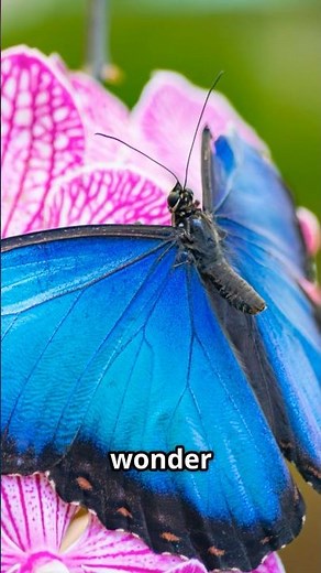 Nature’s Most Stunning Optical Illusions