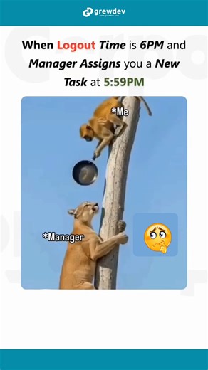 GrewDev | Growth-Driven Web & Marketing Agency | Corporate life 🙄😂 #corporatelife #funnyreels #viralvideo | Instagram