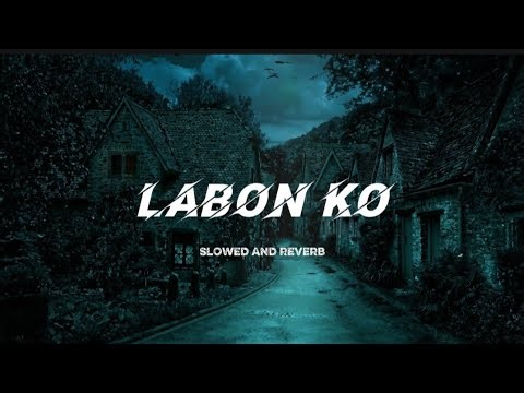 Lyrical: Labon Ko |Slowed Verb | Pritam | A.R| Akshay Kumar, Shiney Ahuja, Vidya Balan