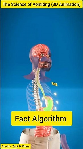 Ulti Kyu Aati Hai? 🤢 The Science of Vomiting (3D Animation)