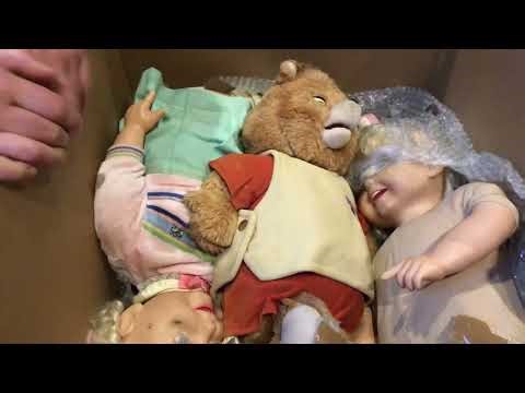 Cricket and Teddy unboxing!