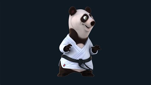 Bear, Karate, Sport. Free Stock Video