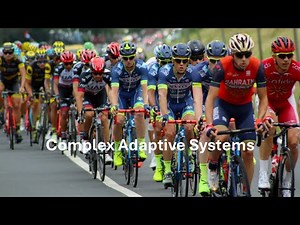 Complex Adaptive Systems