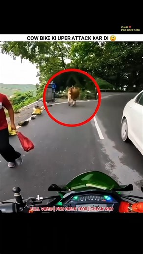 Cow Bike Ki Upar Attack Kar Diya 🥺#motovlog
