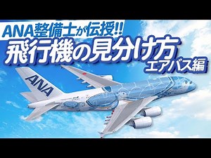 【ANA整備士】飛行機の見分けかた ~エアバス編~ 【ひこトモ】
