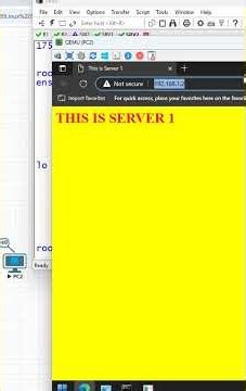 4.How to access SRV1 and SRV2?
