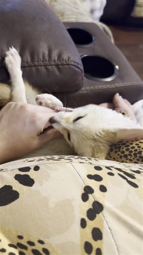 The Origin of the Nickname 'Baby Chomp Chomp'