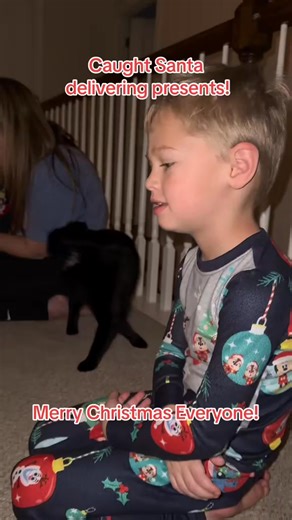 Merry Christmas everyone! Christmas Magic! #christmas #christmasmagic-000 | Ardith Darius | Facebook