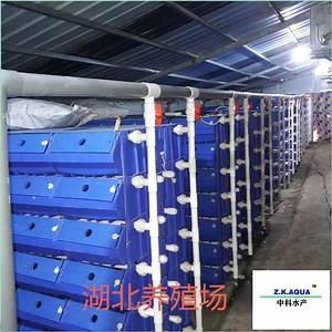 [Hot Item] Ras Recirculated Aquaculture System for Crab Farming