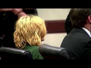 Georgia school shooting suspect appears in court | REUTERS
